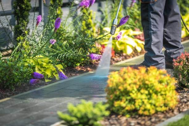 Best Parking Lot and Garage Cleaning  in Keaau, HI